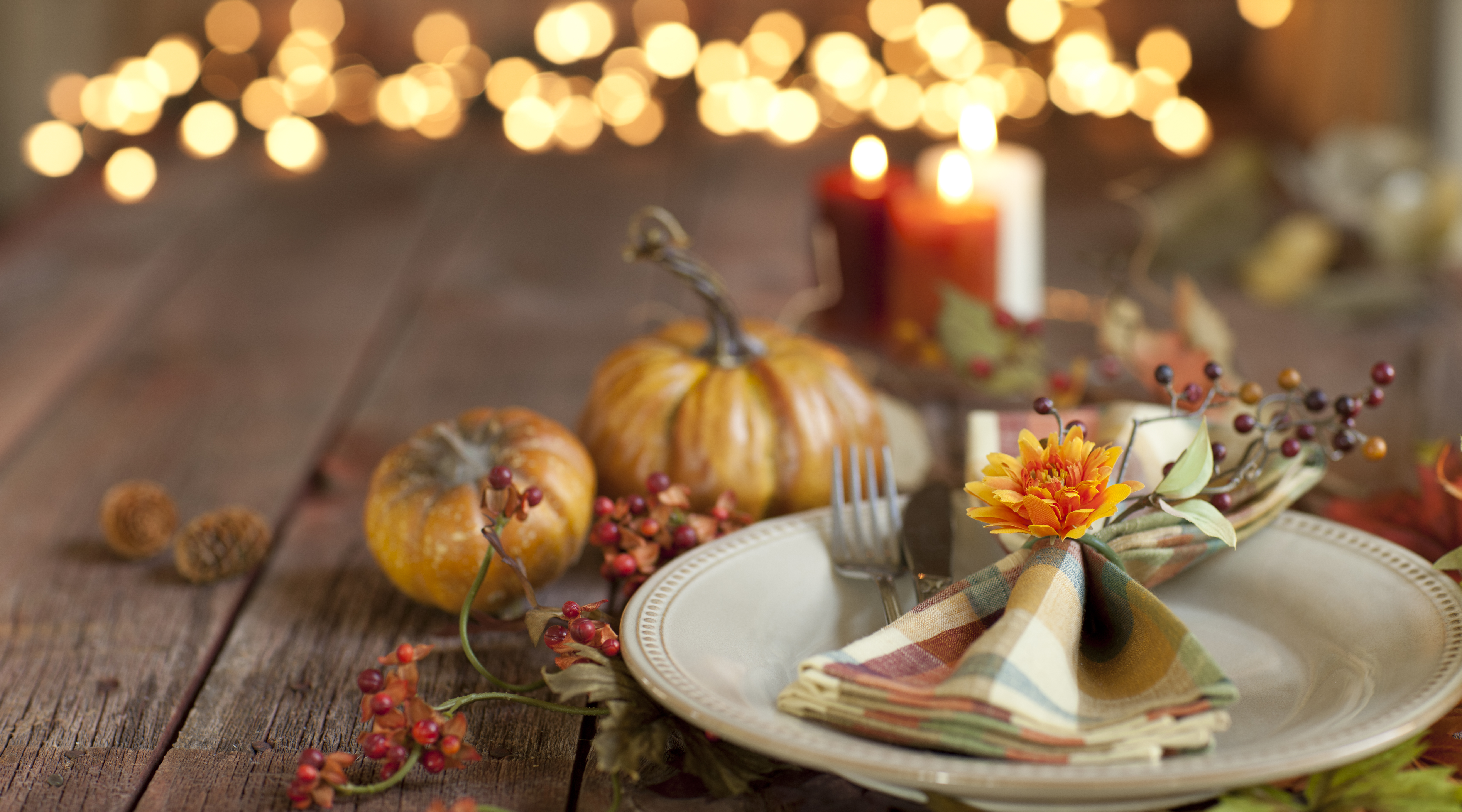 Fall Gathering 2019